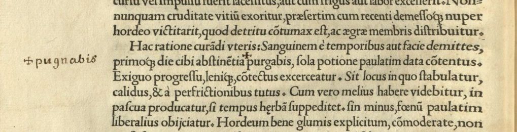 A "+" above the word "purgabis" printed in the text to match the handwritten correction "+pugnabis" in the margin.