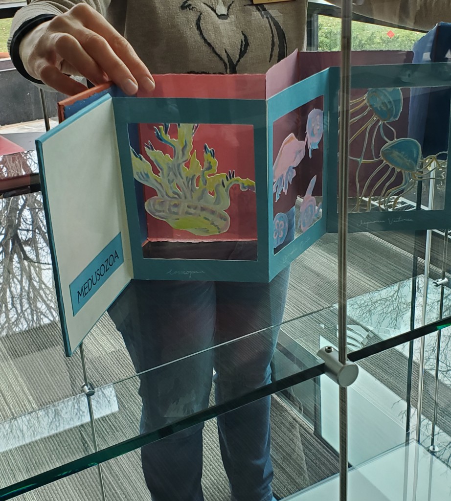 Close up image of hands spreading out an accordion bound book. Book has cut-out images of jellyfish. Accordion book behind it has a color gradient from pink to blue.